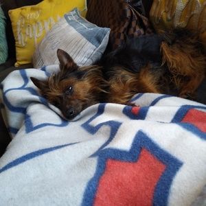 Meet your Posher, Shonda